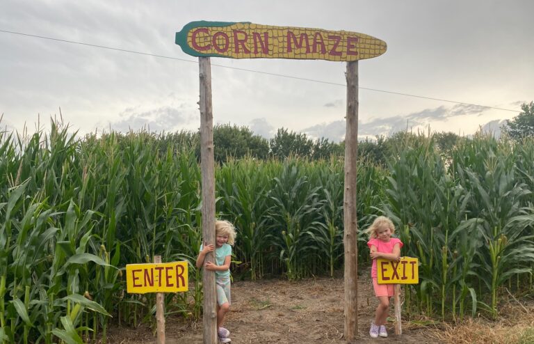 Two cute twins by corn maze at Poppy's Pumpkin Patch